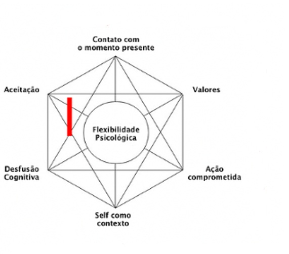 Hexaflex terapia de aceitacao e compromisso act